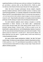 Strona 13